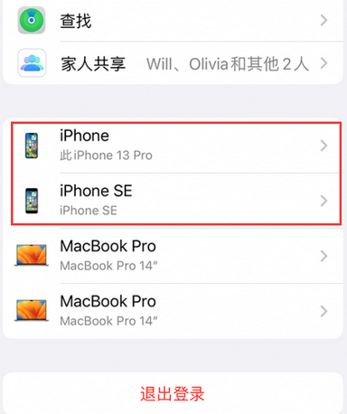 雷州苹雷州果维修网点分享iPhone如何查询序列号