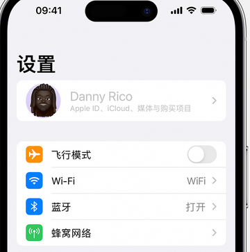 雷州appleID维修服务iPhone设置中Apple ID显示为灰色无法使用 