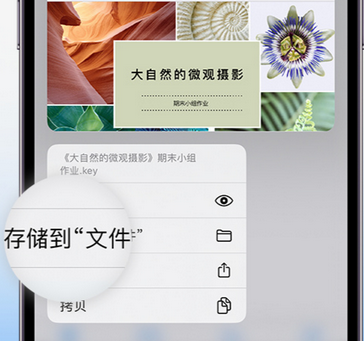 雷州apple维修中心分享iPhone文件应用中存储和找到下载文件