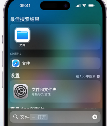 雷州apple维修中心分享iPhone文件应用中存储和找到下载文件 