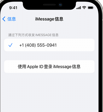 雷州apple维修iPhone上无法正常发送iMessage信息