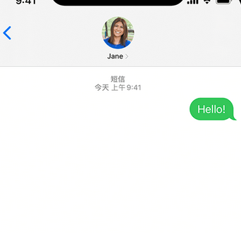 雷州apple维修iPhone上无法正常发送iMessage信息