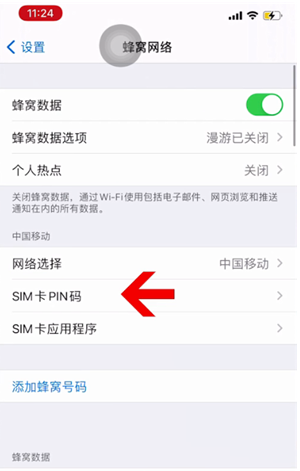 雷州苹果14维修网分享如何给iPhone14的SIM卡设置密码 