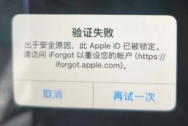 雷州iPhone维修分享iPhone上正常登录或使用AppleID怎么办 