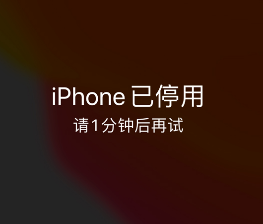 雷州苹果手机维修分享:iPhone 显示“不可用”或“已停用”怎么办？还能保留数据吗？ 