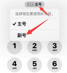 雷州苹果14维修店分享iPhone 14 Pro Max使用副卡打电话的方法 