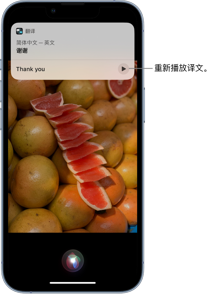 雷州苹果14维修分享 iPhone 14 机型中使用 Siri：了解 Siri 能帮你做什么 