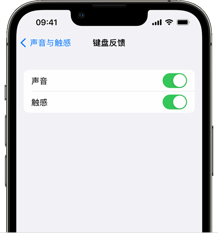 雷州苹果14维修分享iPhone 14 系列机型如何开启键盘声音或触感反馈 