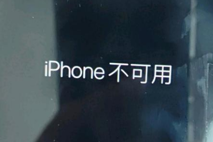 雷州苹果服务网点分享锁屏界面显示“iPhone 不可用”如何解决 