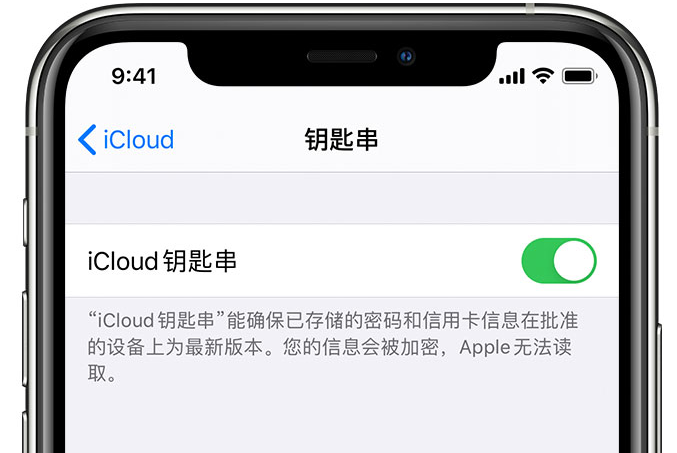 雷州苹果手机维修分享在 iPhone 上开启 iCloud 钥匙串之后会储存哪些信息 