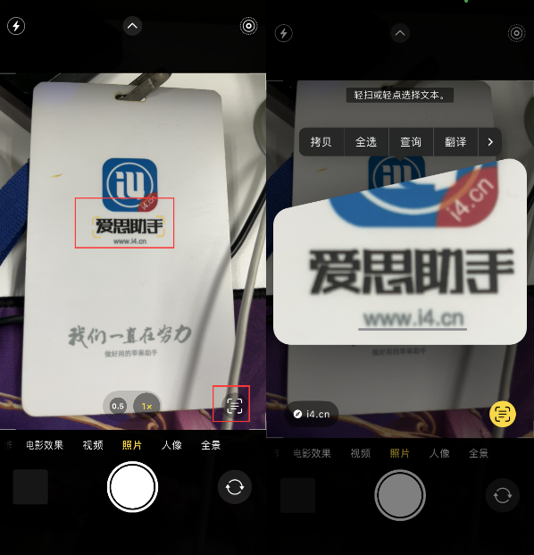 雷州苹果手机维修分享升级iOS 16后如何通过相机翻译文本 