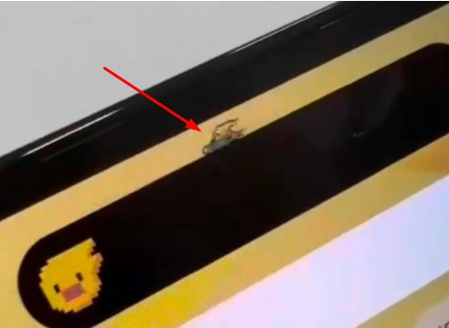 雷州苹果14维修分享iPhone 14 Pro Max灵动岛怎么养宠物 