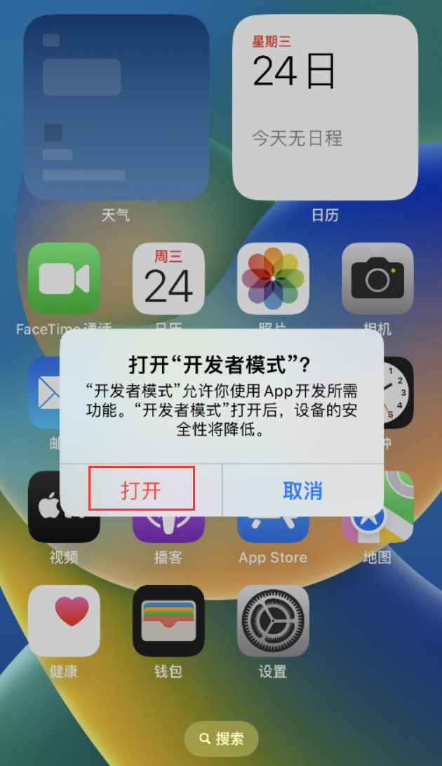 雷州苹果手机维修分享如何打开开发者模式 