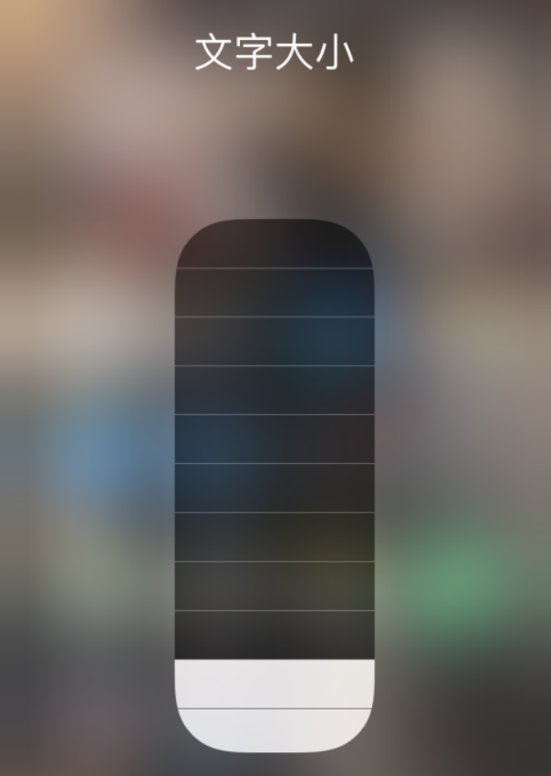 雷州苹果手机维修分享小技巧：在 iPhone 控制中心快速调节字体大小 