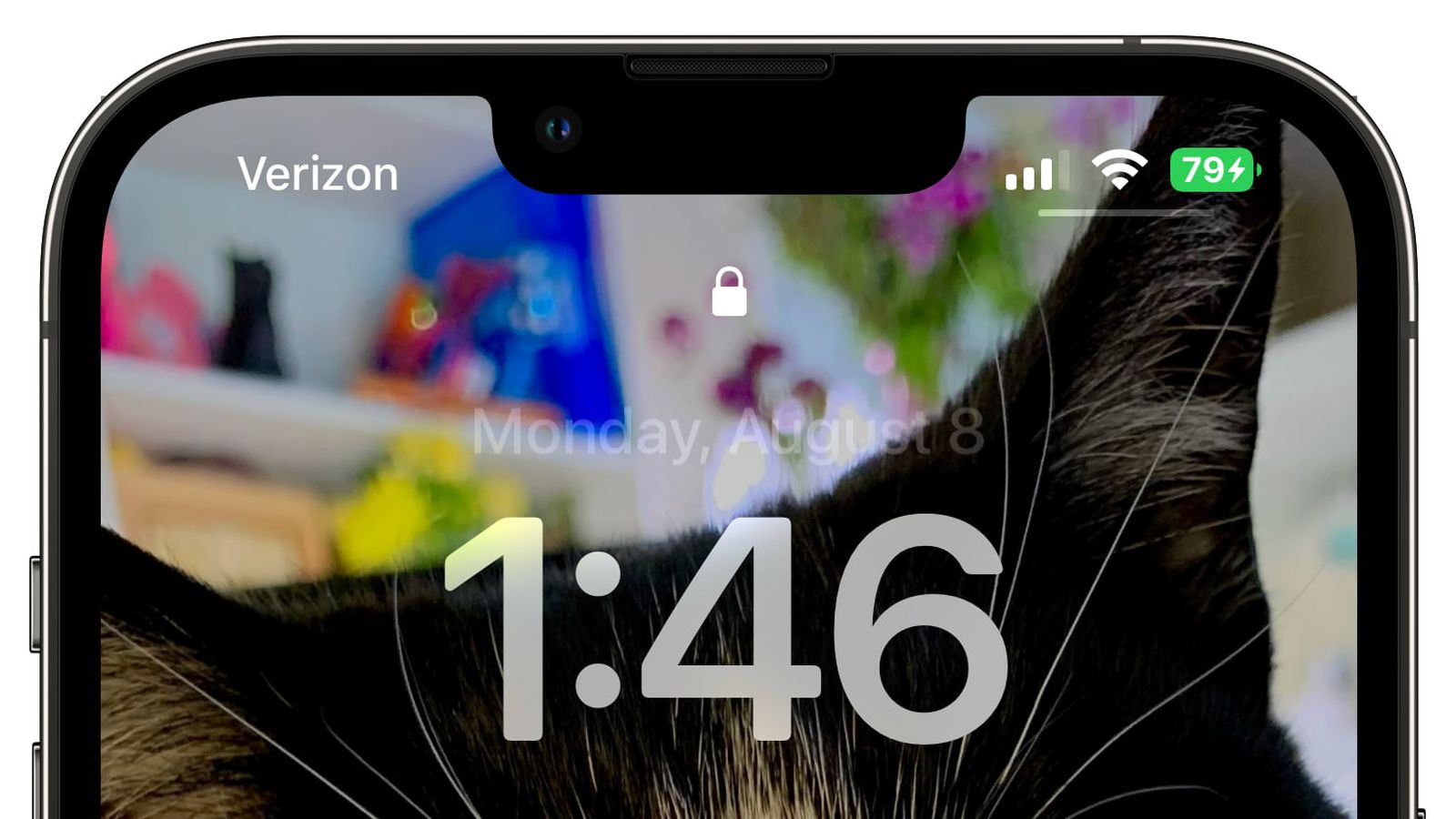 雷州苹果手机维修分享iOS 16 beta 5 支持状态栏显示电池百分比，如何开启？支持哪些机型 
