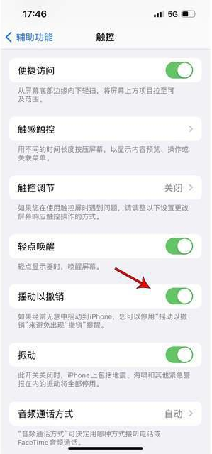 雷州苹果手机维修分享iPhone手机如何设置摇一摇删除文字 