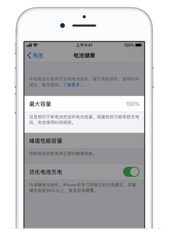 雷州苹果手机维修分享iPhone电池健康度是否需要过分关注 