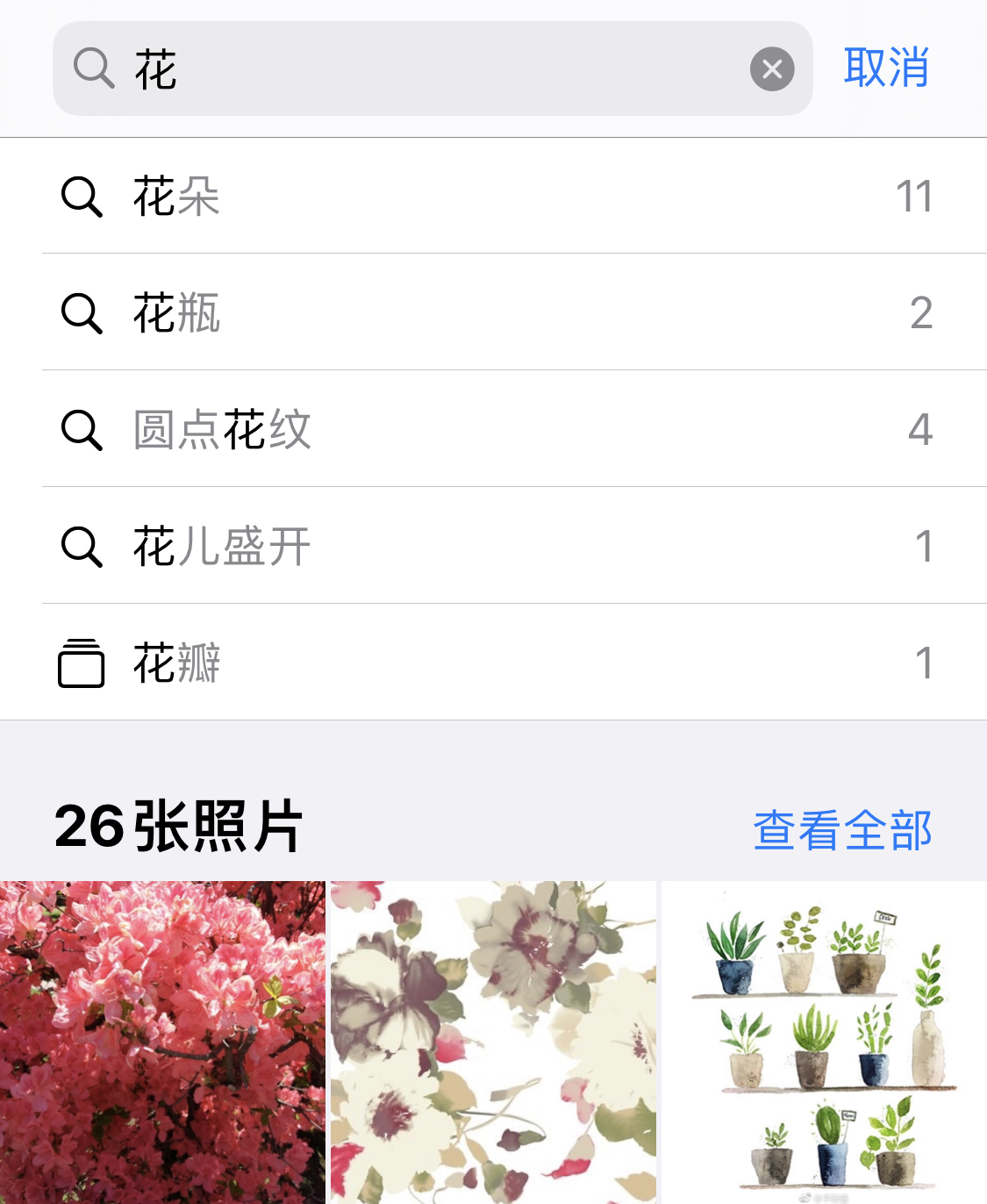 雷州苹果手机维修分享iPhone 小技巧 
