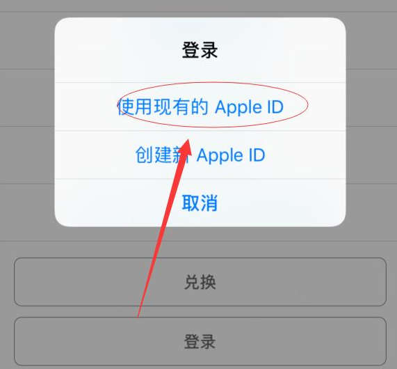 雷州苹果手机维修分享两台iPhone设备可以同时登录一个Apple ID吗 