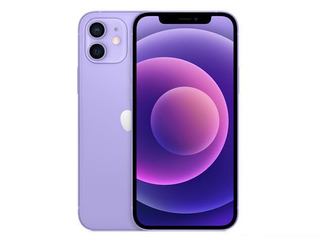雷州苹果手机维修分享现阶段要不要入手紫色版iPhone12 