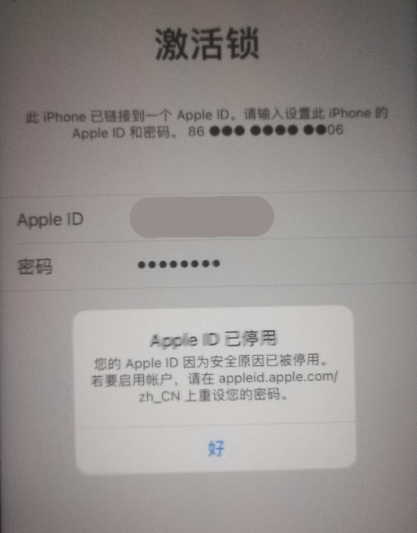 雷州苹果手机维修分享iPhone 12 出现提示“Apple ID 已停用”怎么办 