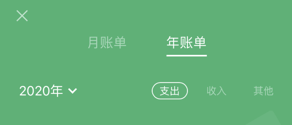 雷州苹果手机维修分享如何在 iPhone 上查看支付宝和微信年支出账单 