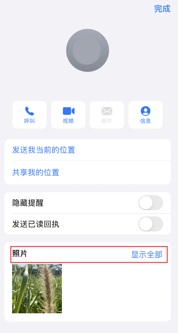 雷州苹果手机维修分享如何快速查找 iMessage 信息中的图片等附件 